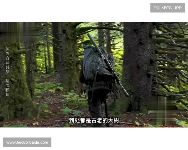 《硬汉》系列纪录片最新赛季：深度解读最卷分区赛季中的精彩故事线